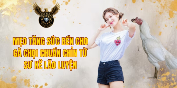 Tập bay - mẹo tăng sức bền cho gà chọi hiệu quả