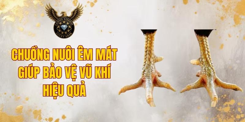 Chuồng nuôi êm mát giúp bảo vệ vũ khí hiệu quả