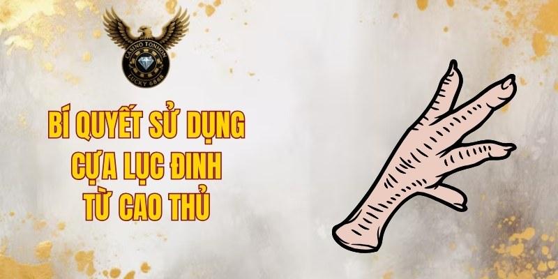 Bí quyết sử dụng cựa lục đinh từ cao thủ