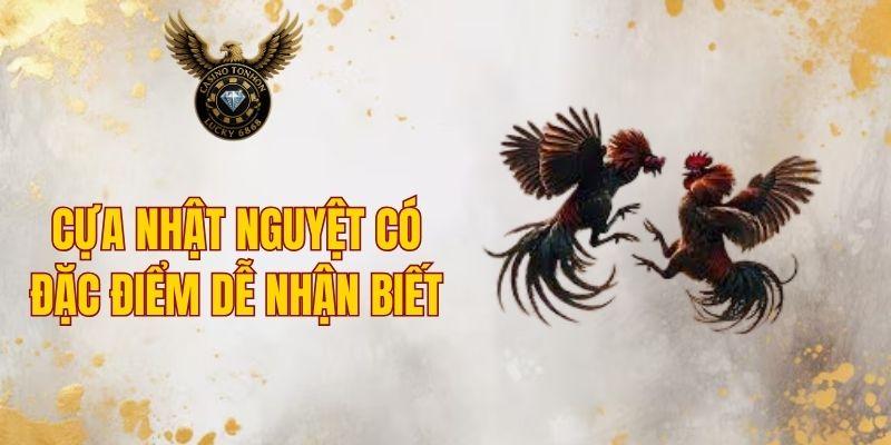 Cựa nhật nguyệt có đặc điểm dễ nhận biết