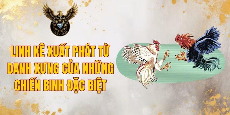 Linh Kê là những chiến binh đặc biệt