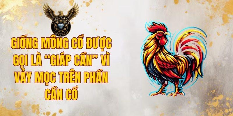 Giống Mông Cổ có vảy mọc trên phần cần cổ