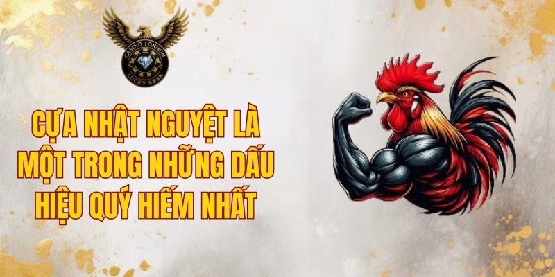Cựa nhật nguyệt là dấu hiệu quý hiếm nhất