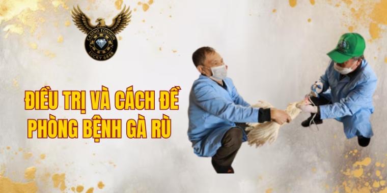 Điều trị và cách đề phòng bệnh gà rù