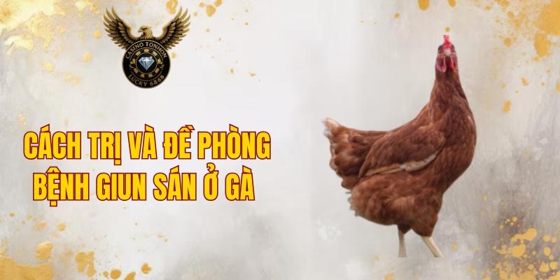 Cách trị và đề phòng bệnh giun sán ở gà
