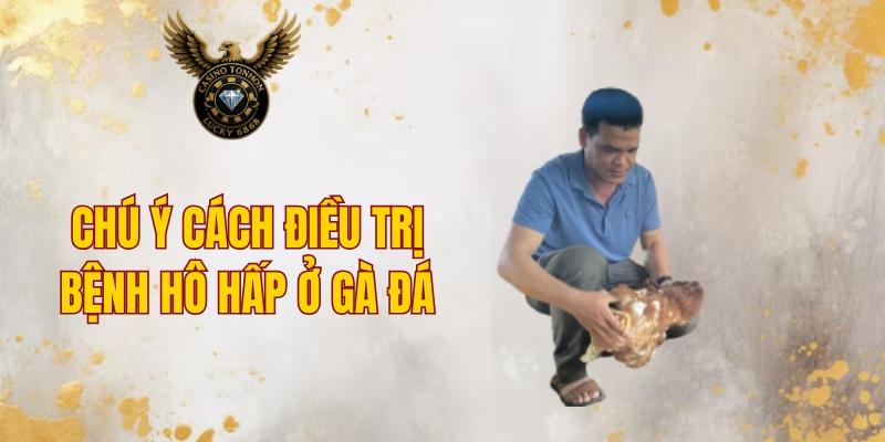 Chú ý cách điều trị bệnh hô hấp ở gà đá