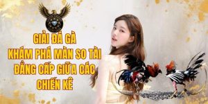 Giải Đá Gà - Khám Phá Màn So Tài Đẳng Cấp Giữa Các Chiến Kê
