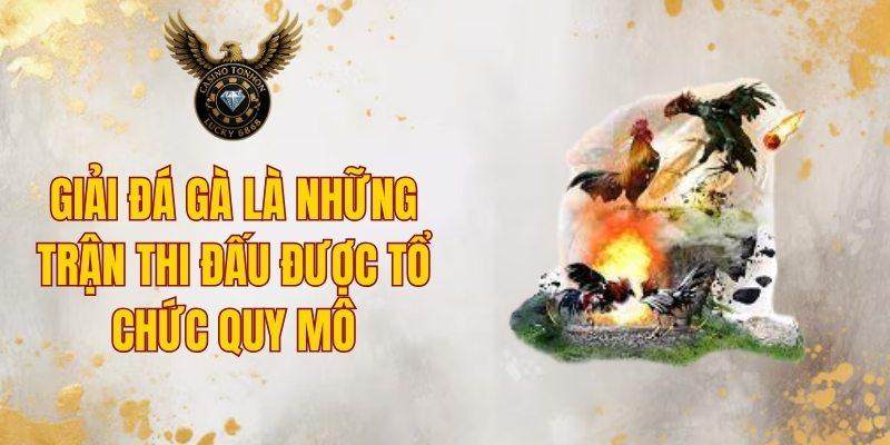Giải đá gà là những trận thi đấu được tổ chức quy mô
