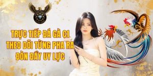 Trực Tiếp Đá Gà C1 - Theo Dõi Từng Pha Ra Đòn Đầy Uy Lực