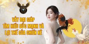 Vảy Đại Giáp - Tìm Hiểu Sức Mạnh Và Lợi Thế Của Chiến Kê