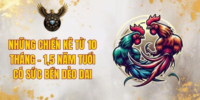 Khả năng đá hay liên quan đến độ tuổi và thể trạng