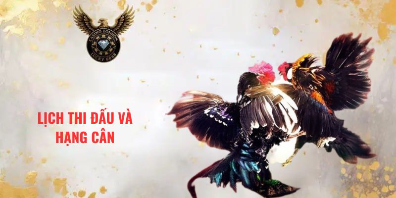 LỊCH THI ĐẤU VÀ HẠNG CÂN