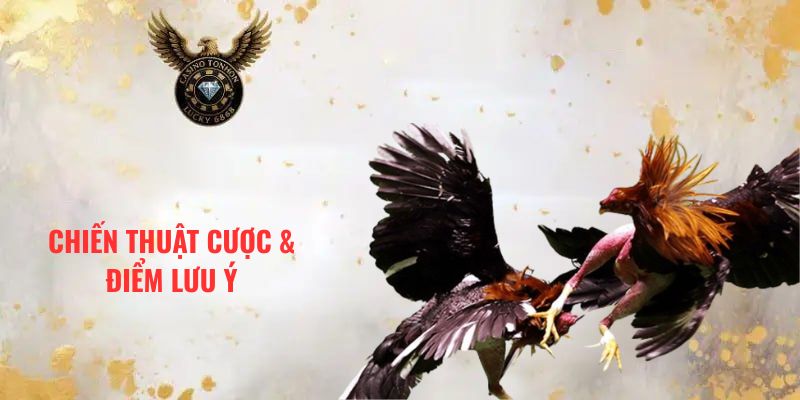 CHIẾN THUẬT CƯỢC & ĐIỂM LƯU Ý
